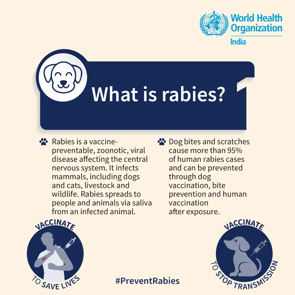 WHO India graphic on rabies: dog bites cause most cases; vaccination and bite prevention help